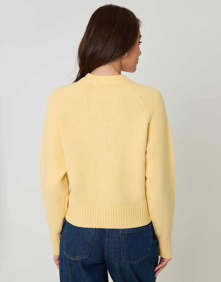 Threadbare Button Up Knitted Cardigan in Yellow - back view