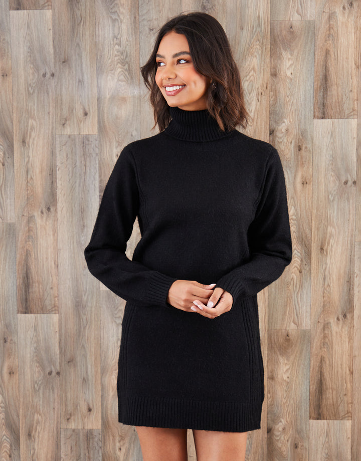 Black Roll Neck Knitted Mini Dress