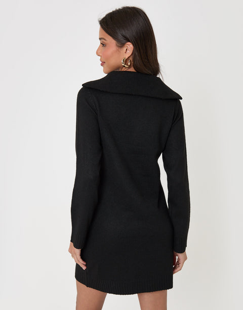 Threadbare Quarter Zip Brushed Knit Mini Dress in Black - back view