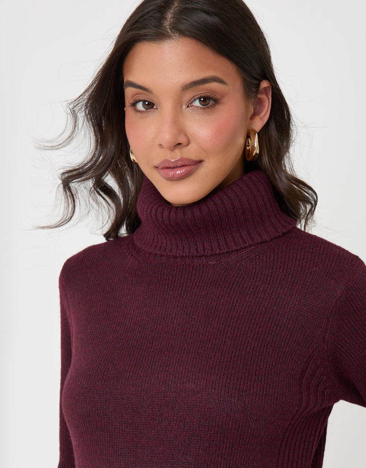 Turtle Neck Maxi Jumper Dress in Plum