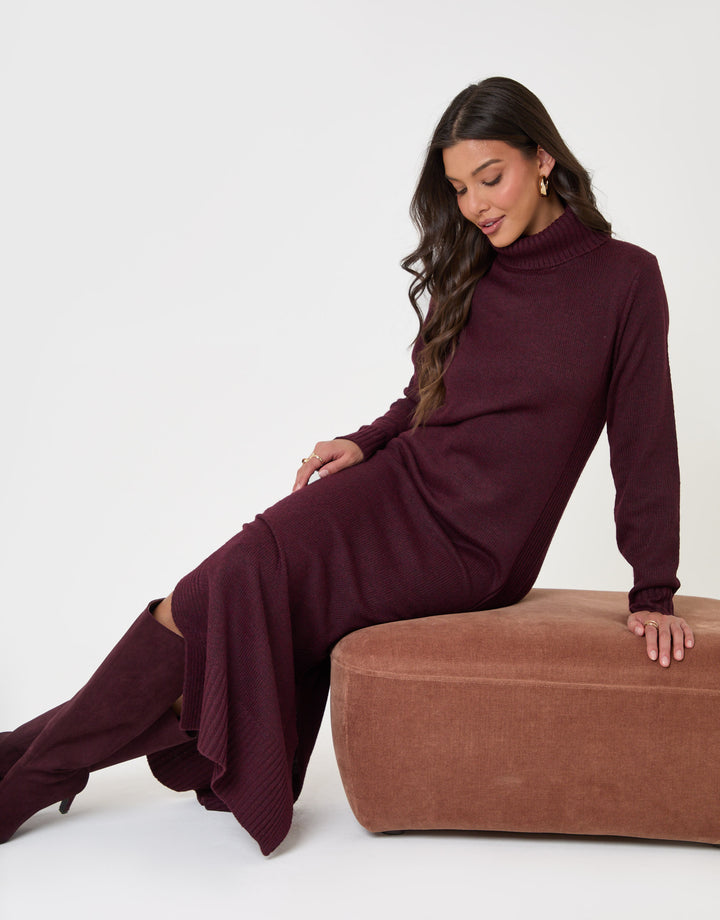Turtle Neck Maxi Jumper Dress in Plum