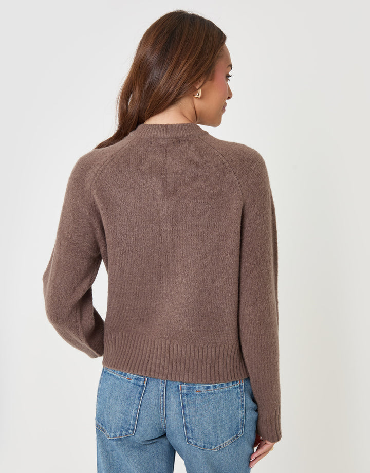Threadbare Relaxed Fit Knitted Cardigan in Mocha Brown - back view