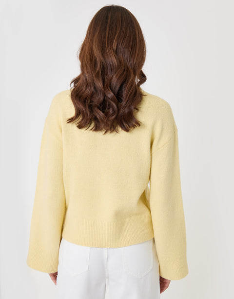 Threadbare Relaxed Fit Crew Neck Jumper in Lemon Yellow - back view