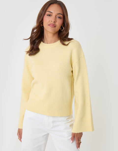 Threadbare Relaxed Fit Crew Neck Jumper in Lemon Yellow - front view
