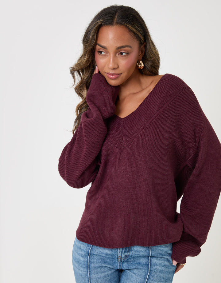 The Everyday Deep Rib V-Neck Jumper in Plum