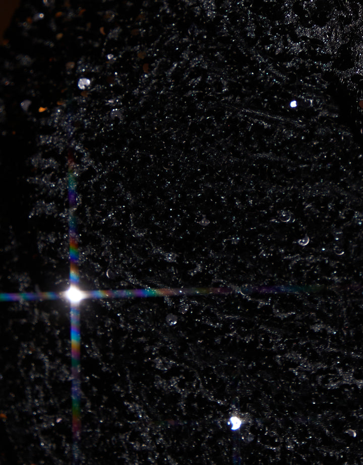 Black Sequin Velour Slash Neck Top