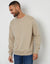Stone Crew Neck Sweatshirt