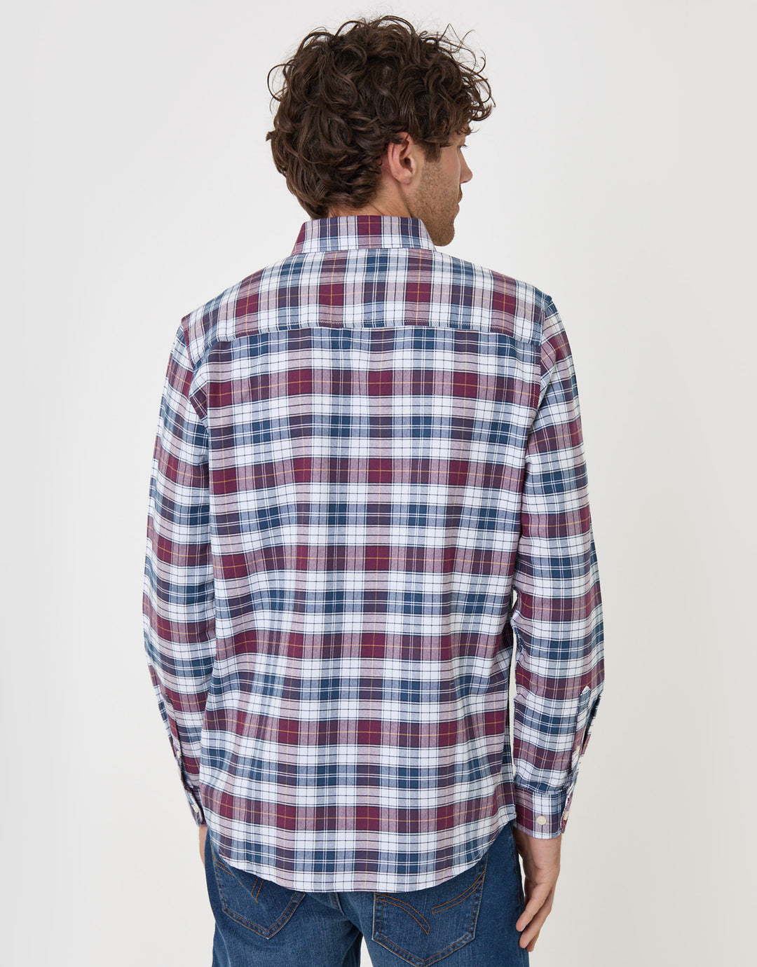 Threadbare Regular Fit Cotton Oxford Shirt in Red Check - back view