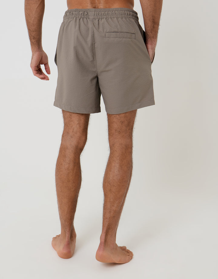 Threadbare Seersucker Swim Shorts in Taupe - back view 