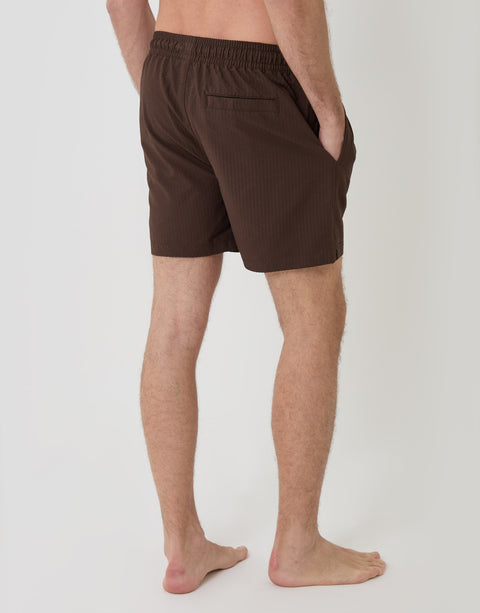 Threadbare Seersucker Swim Shorts in Chocolate Brown Stripe - back view