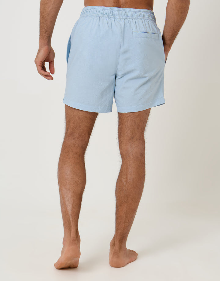 Threadbare Stripe Seersucker Swim Shorts in Light Blue - back view