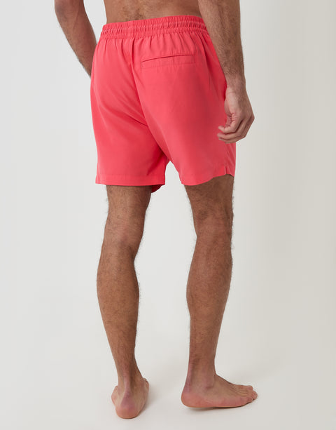 Threadbare Ice Lolly Embroidered Quick Dry Swim Shorts in Coral Pink - back view