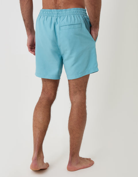 Threadbare Flamingo Embroidered Quick Dry Swim Shorts in Light Blue - back view