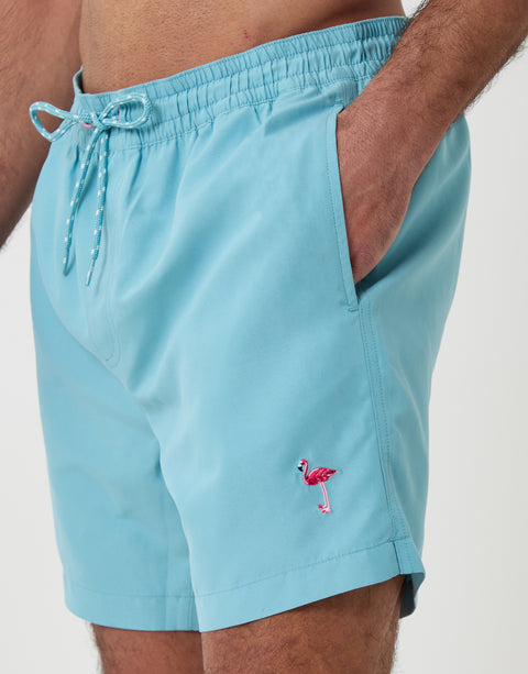 Threadbare Flamingo Embroidered Quick Dry Swim Shorts in Light Blue - front view close up