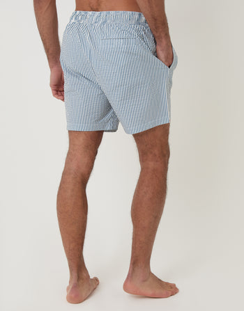Threadbare Seersucker Swim Shorts in Blue Stripe - back view