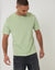 Peached Cotton Crew Neck T-Shirt in Sage Green