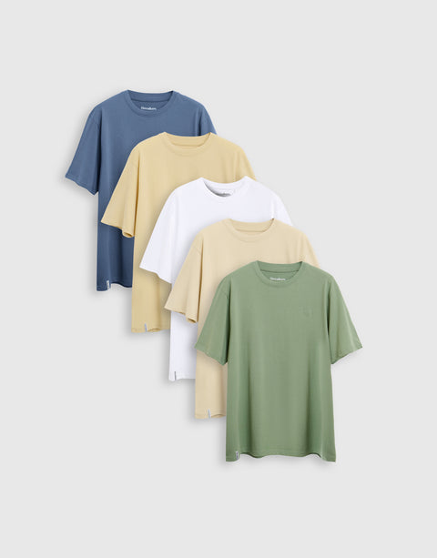 Threadbare 5 Pack Assorted Cotton Crew Neck T-Shirts - all