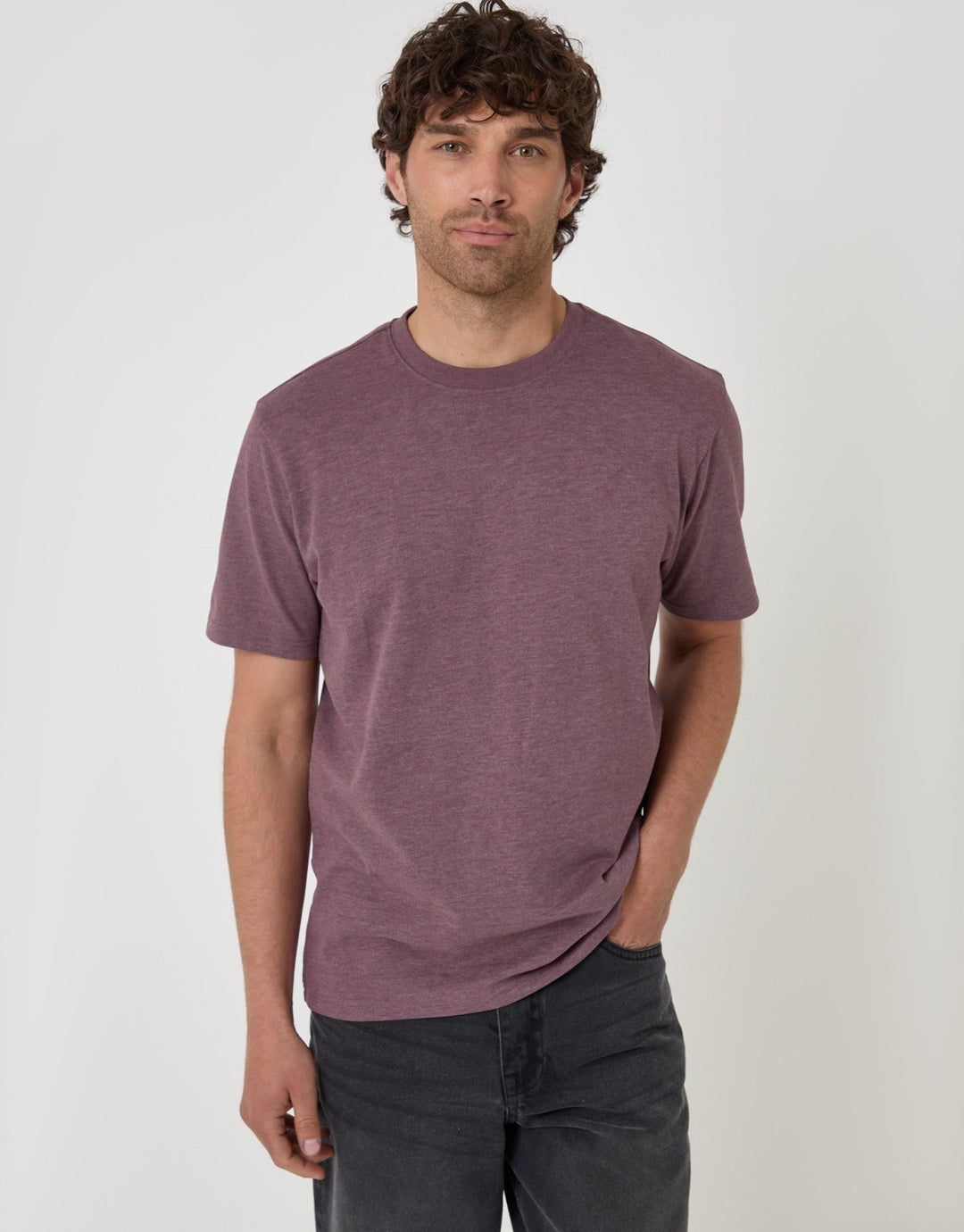 Threadbare Peached Crew Neck T-Shirt in Burgundy - front view
