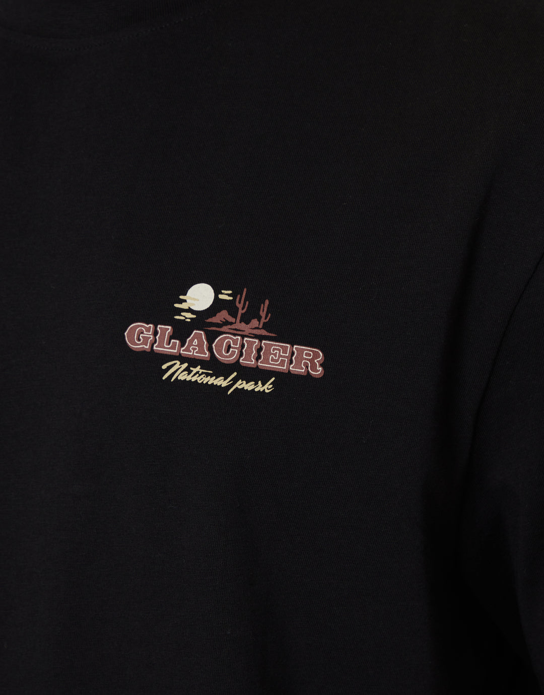 Threadbare Glacier Cotton Crew Neck T-Shirt in Black - front graphic close up