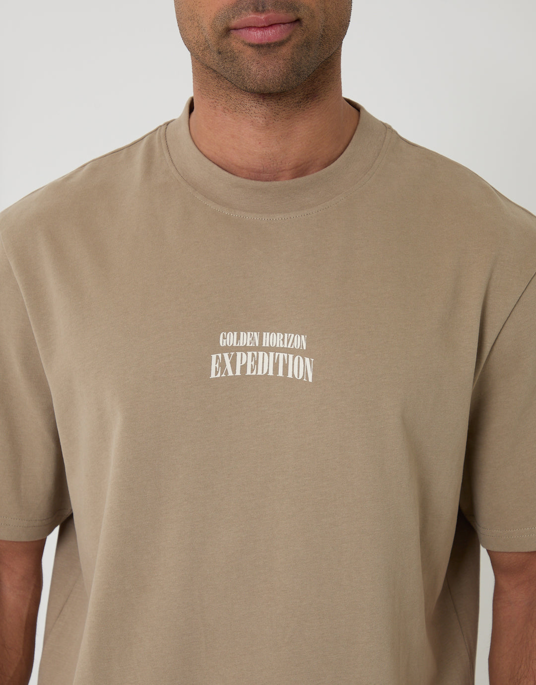 Threadbare Relaxed Fit Expedition Peached Cotton T-Shirt in Brown - front graphic close up