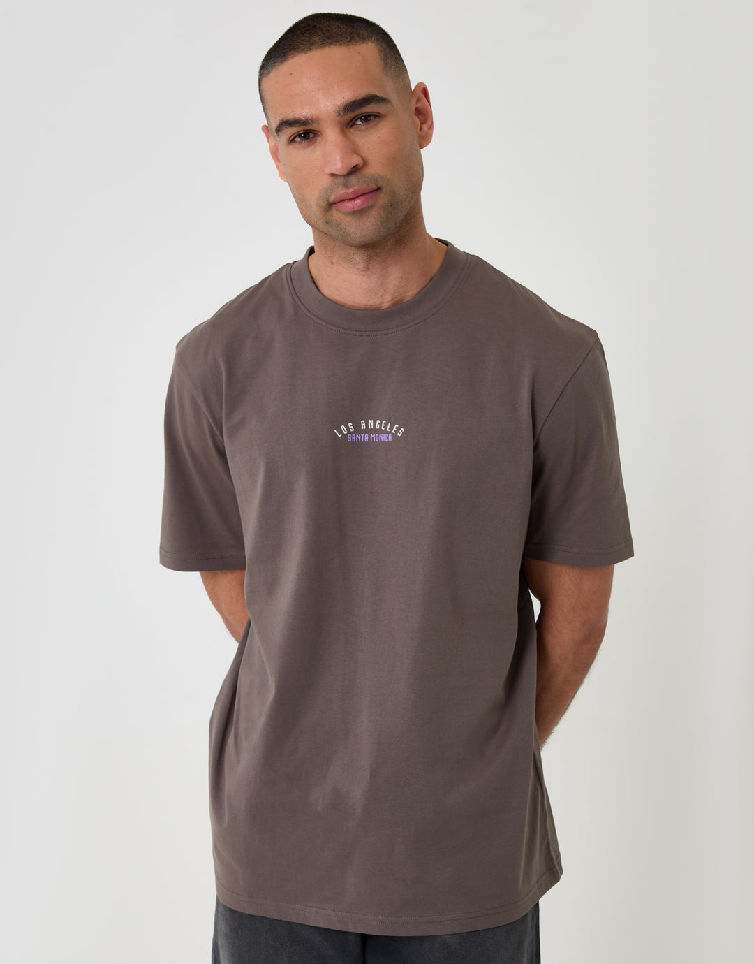 Threadbare Relaxed Fit Los Angeles Graphic T-Shirt in Grey - front view