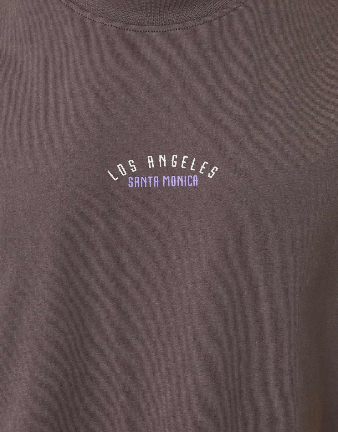 Threadbare Relaxed Fit Los Angeles Graphic T-Shirt in Grey - close up