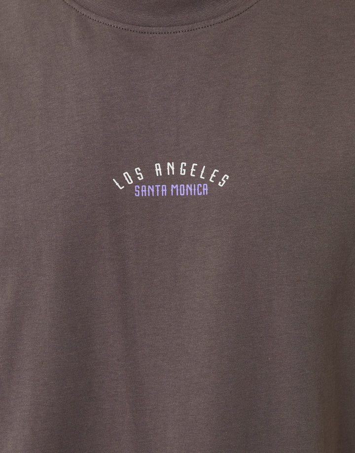 Threadbare Relaxed Fit Los Angeles Graphic T-Shirt in Grey - close up
