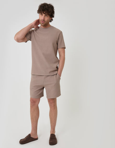 Threadbare Textured Rib Cotton Crew Neck T-Shirt in Taupe - full body