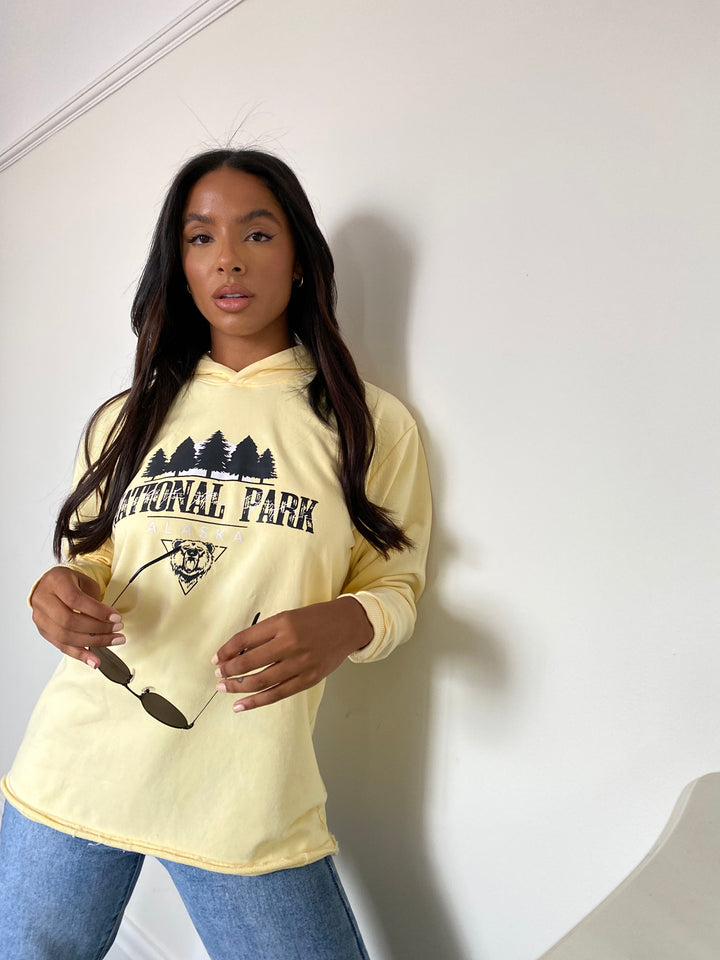 Golden Haze Oversized Hoodie