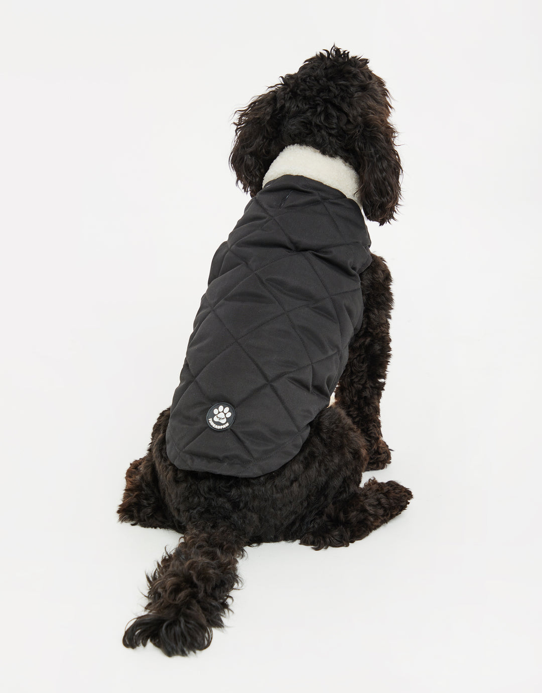Threadpaw Dogs' Black Quilted Jacket