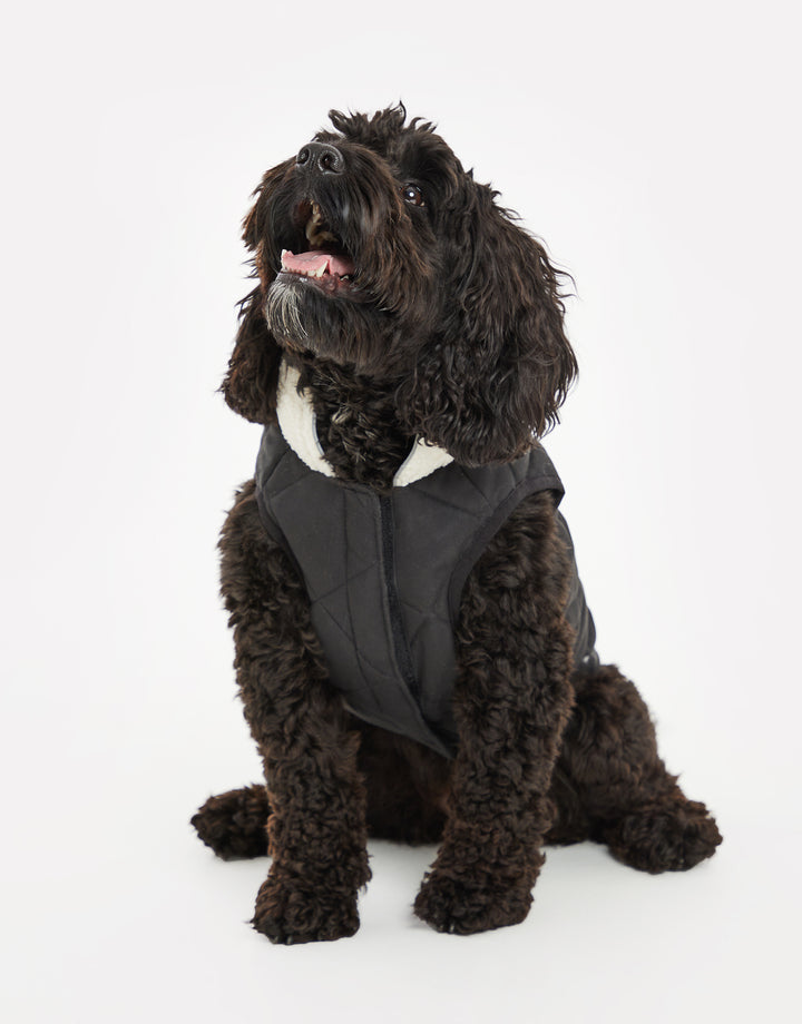 Threadpaw Dogs' Black Quilted Jacket