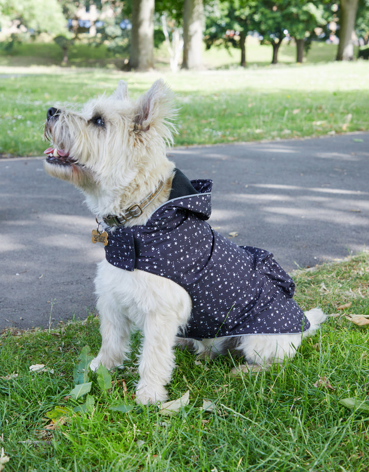 Threadpaw Dogs' Black Star Print Rain Jacket