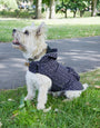 Threadpaw Dogs' Black Star Print Rain Jacket