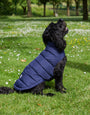 Threadpaw Dogs' Navy Puffer Jacket