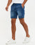 Light Wash Denim Shorts