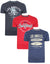 Multi Crew Neck T-Shirts (3 Pack)