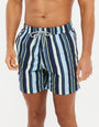 Sky Blue Striped Swim Shorts