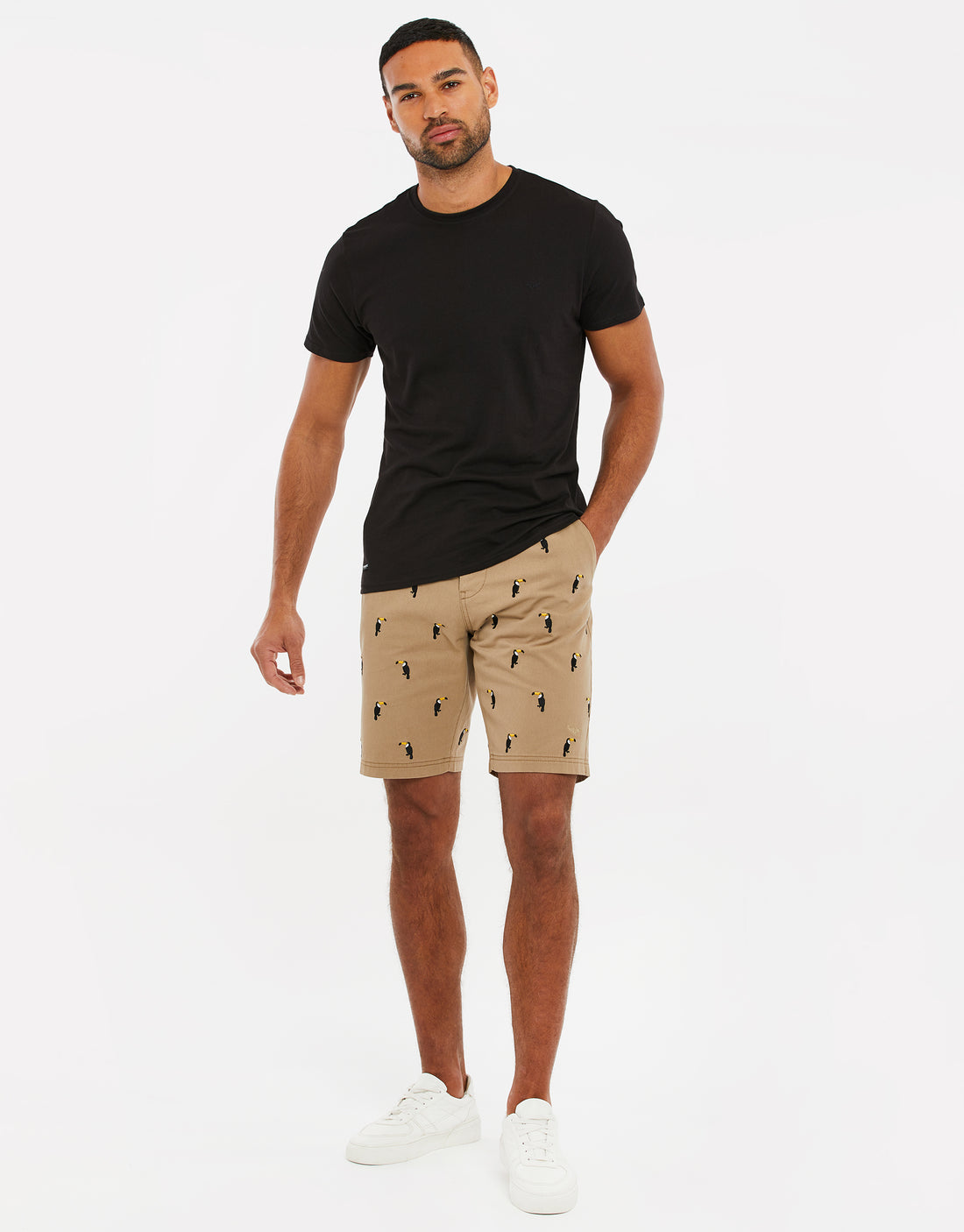 Men's Stone Toucan Print Summer Cotton Chino Shorts – Threadbare